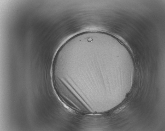 X0000058761343200510281908