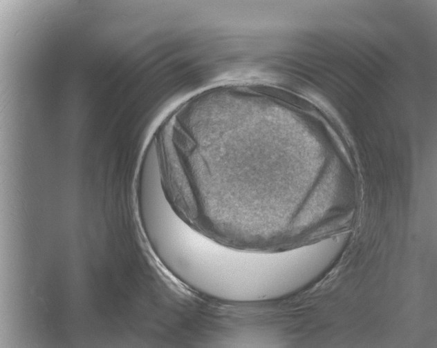 X0000058761344200510281908