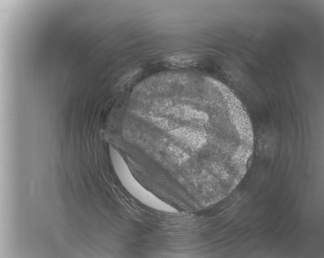 X0000058761346200510281907