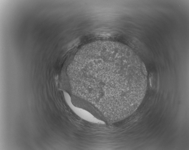 X0000058761347200510281907