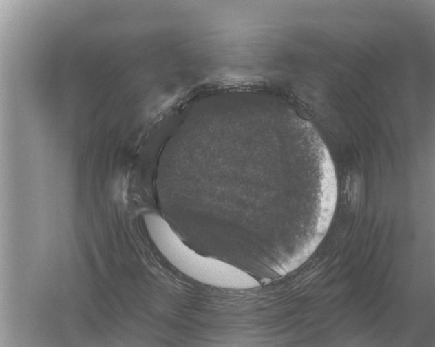 X0000058761348200510281907