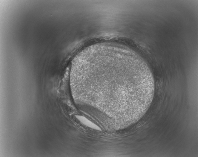 X0000058761349200510281907