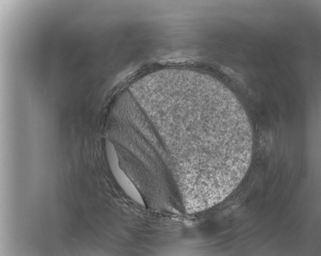 X0000058761350200510281907