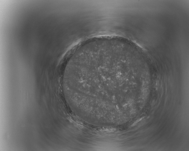 X0000058761351200510281907