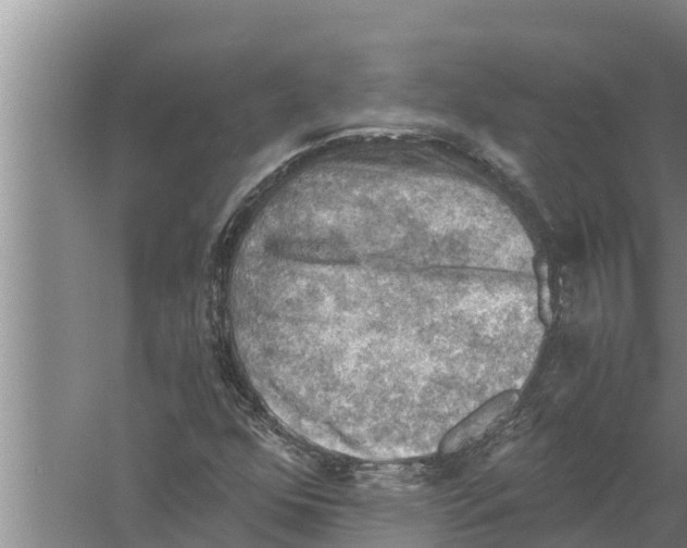 X0000058761352200510281907