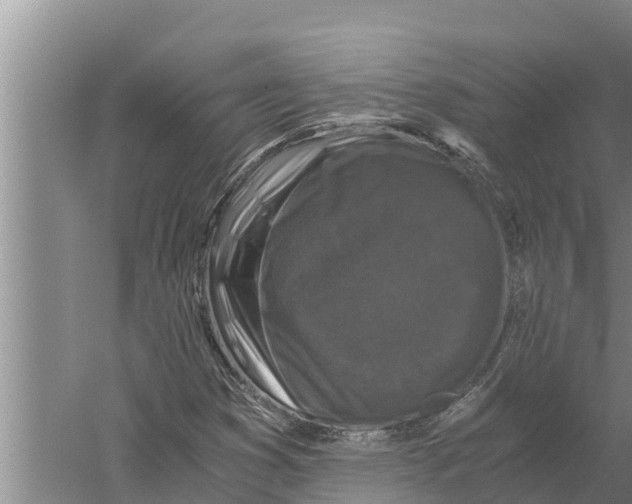 X0000058761353200510281907