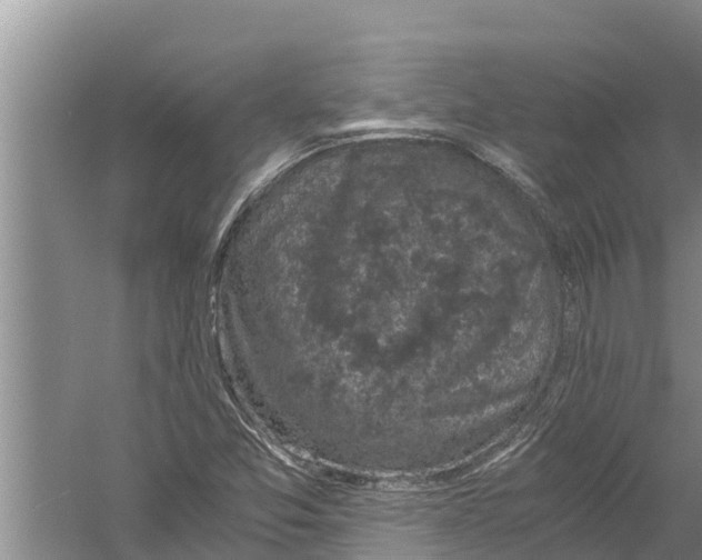 X0000058761357200510281907