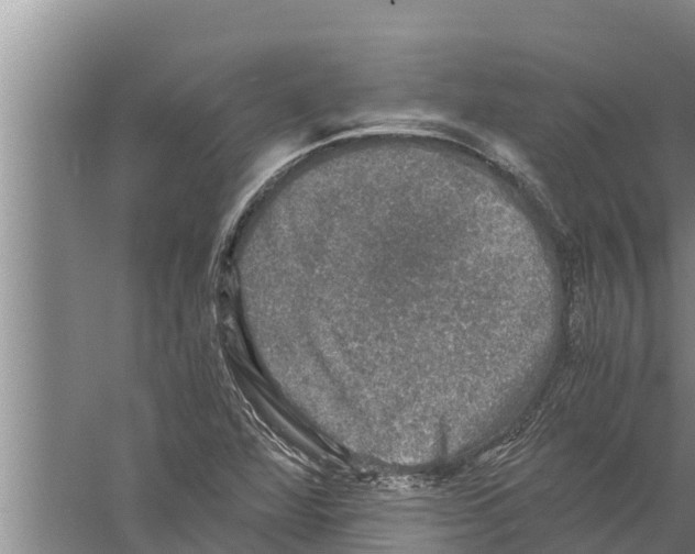 X0000058761360200510281907