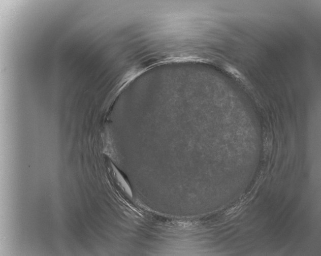 X0000058761361200510281907