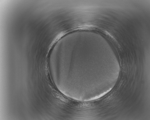 X0000058761362200510281907