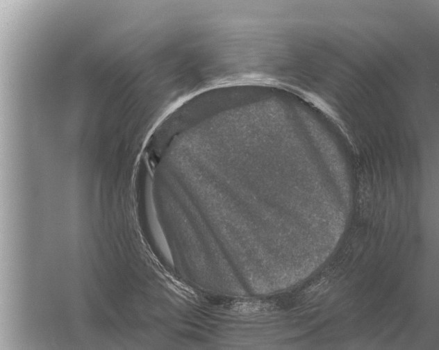 X0000058761364200510281906