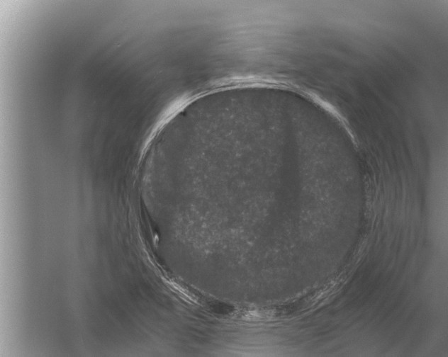 X0000058761365200510281906