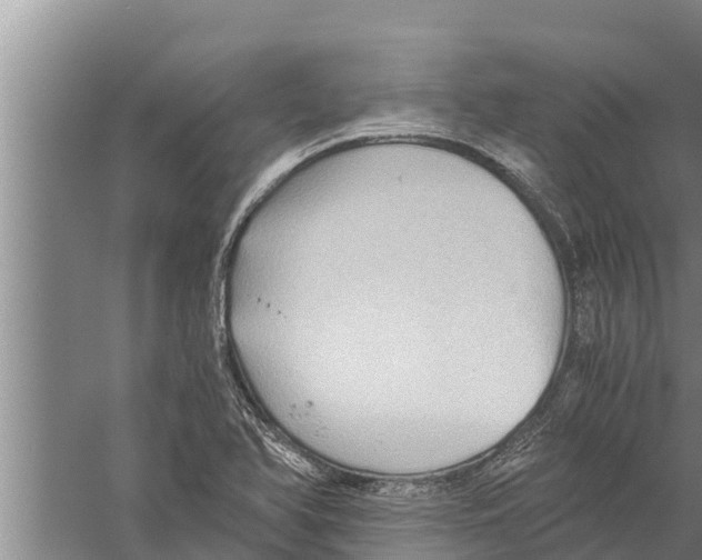 X0000058761366200510281906