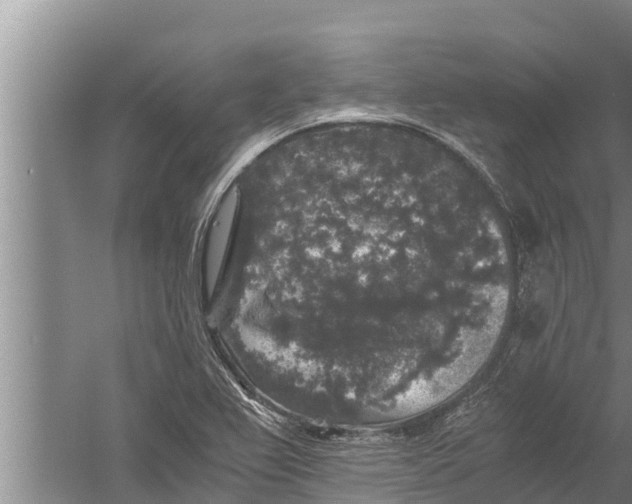 X0000058761367200510281906