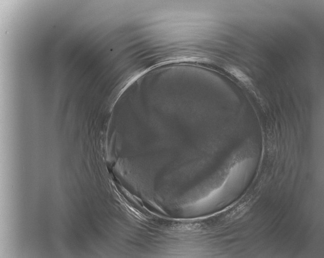 X0000058761369200510281906