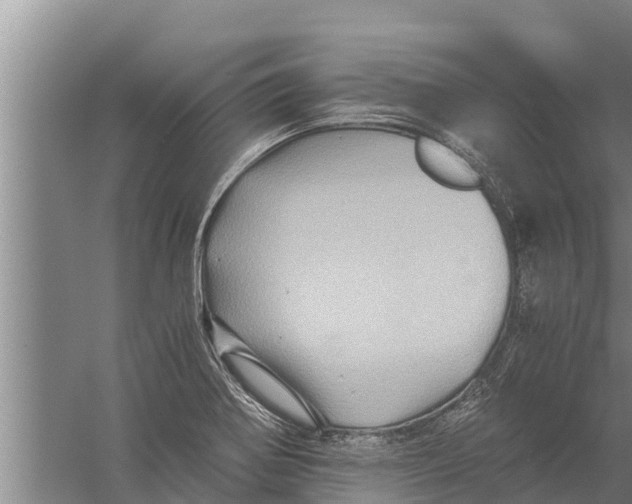 X0000058761370200510281906