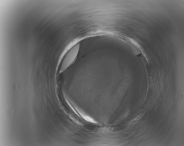 X0000058761373200510281906