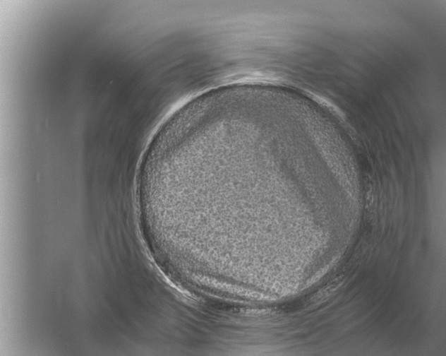 X0000058761375200510281906