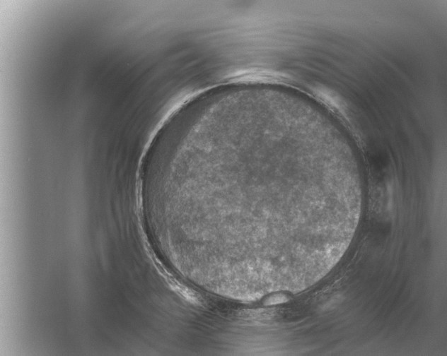 X0000058761376200510281906