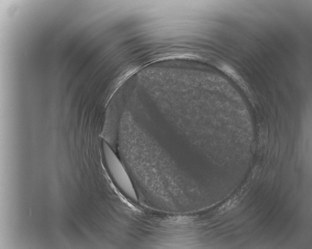 X0000058761377200510281906