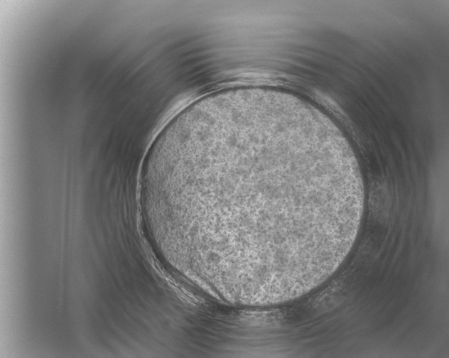 X0000058761378200510281906