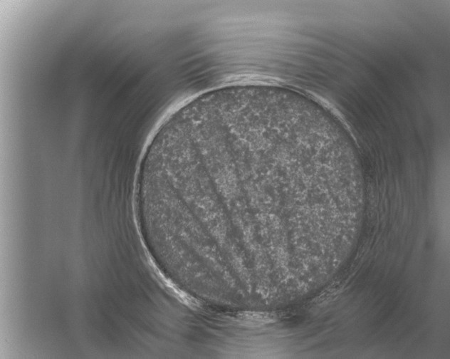 X0000058761379200510281906