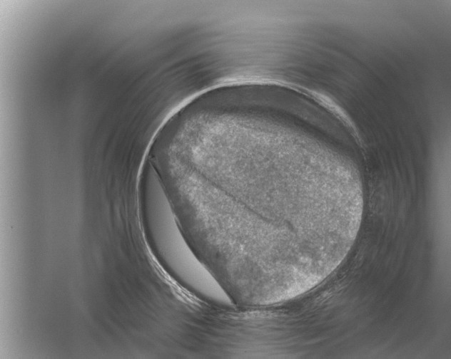 X0000058761380200510281906