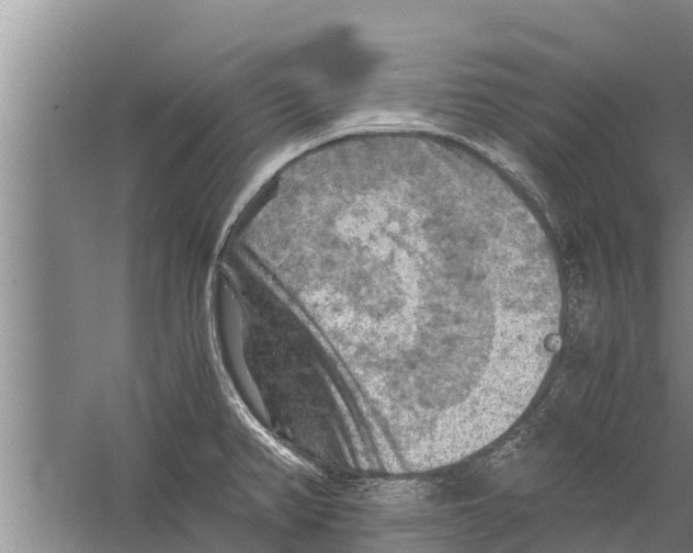 X0000058761382200510281906