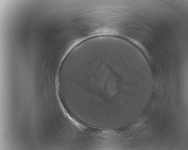 X0000058761383200510281906