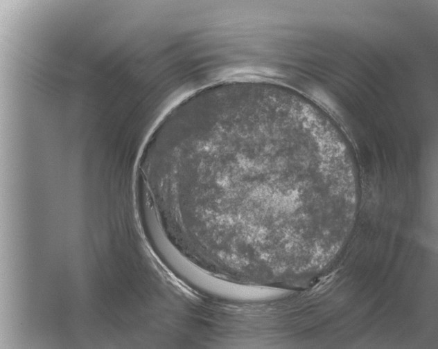 X0000058761384200510281906