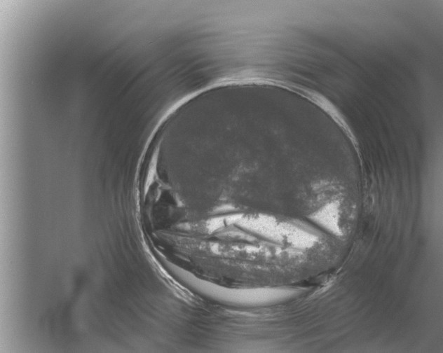 X0000058761388200510281906