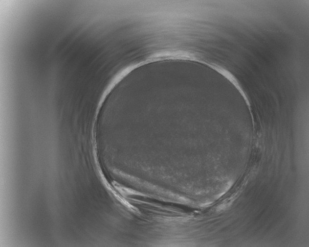 X0000058761389200510281906