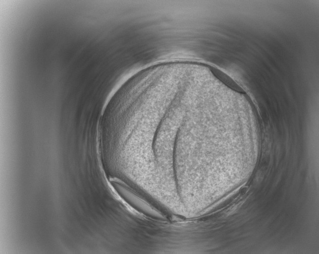 X0000058761390200510281906