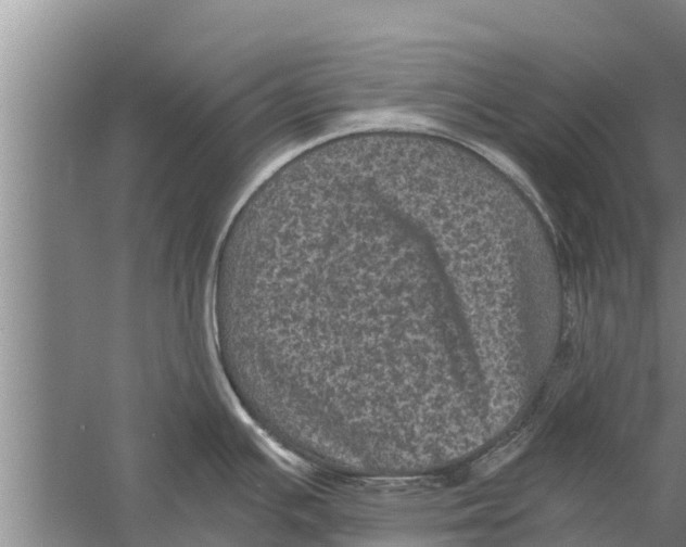 X0000058761391200510281906