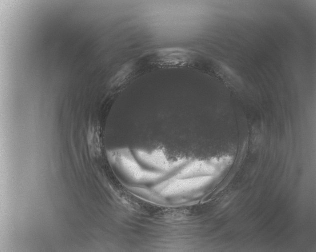 X0000058761394200510281905