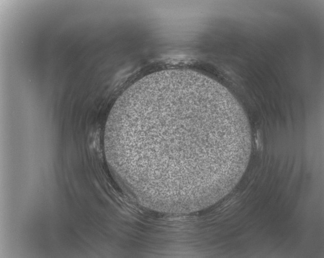 X0000058761396200510281905