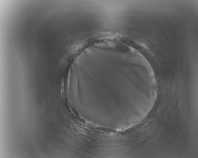 X0000058761399200510281905