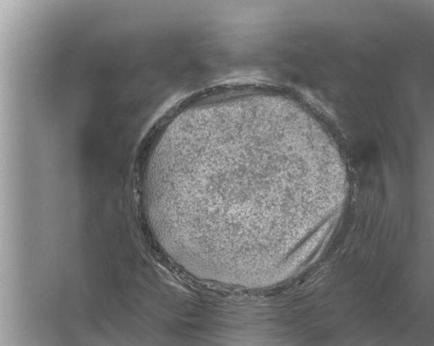 X0000058761400200510281905