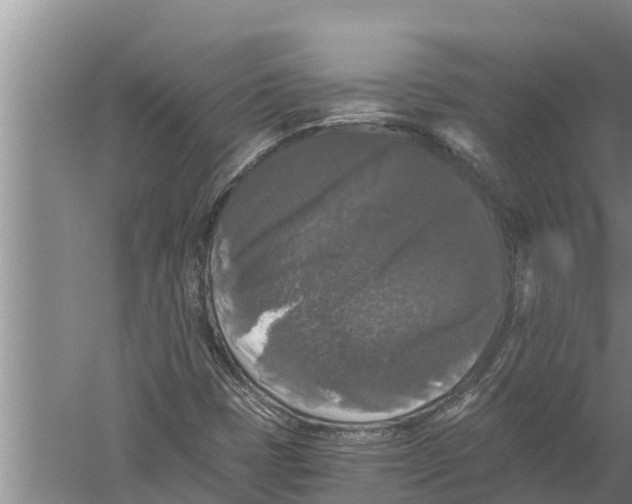 X0000058761401200510281905