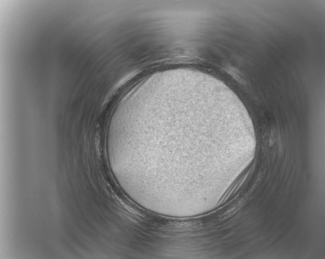 X0000058761402200510281905