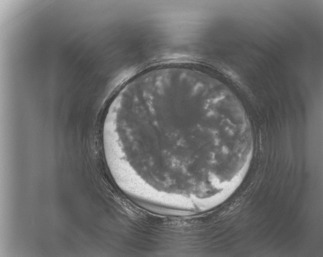 X0000058761405200510281905