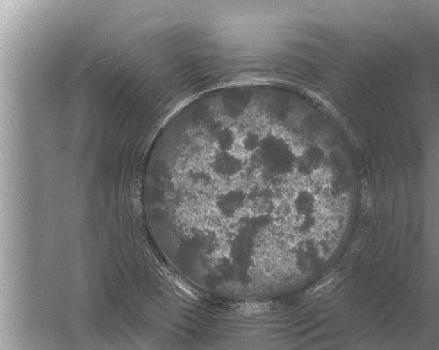 X0000058761409200510281905