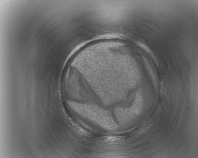 X0000058761412200510281906