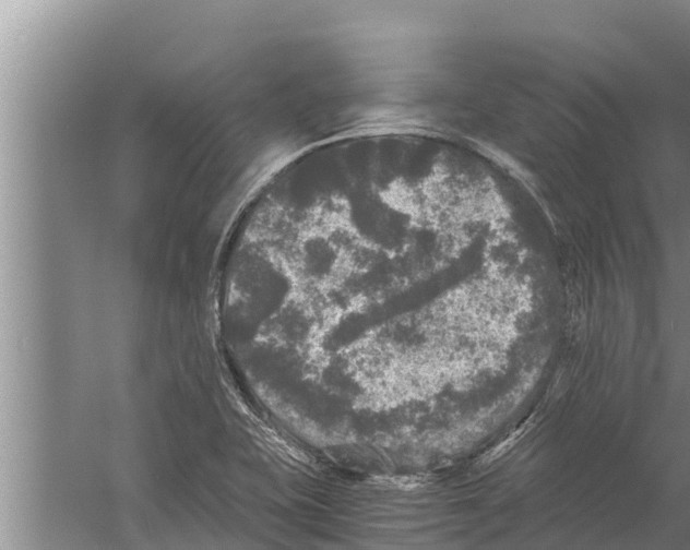 X0000058761415200510281906