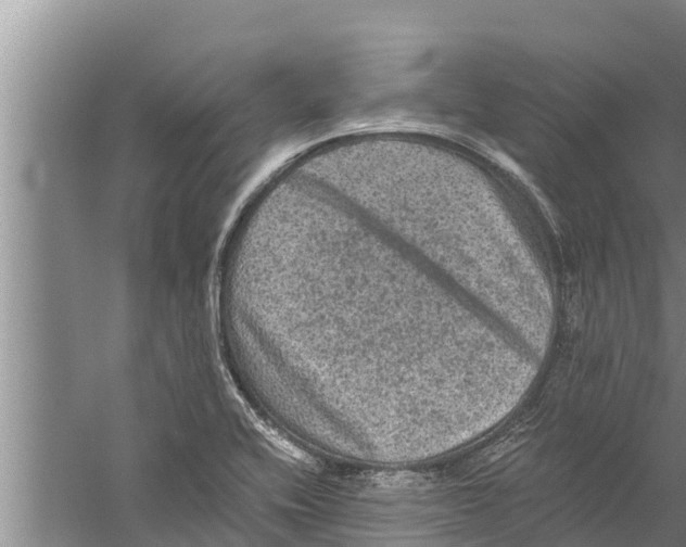 X0000058761416200510281906