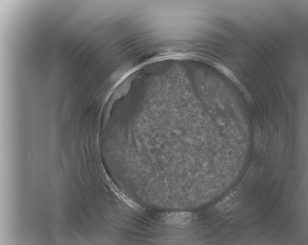 X0000058761417200510281906