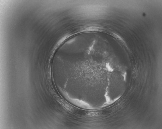 X0000058761419200510281906