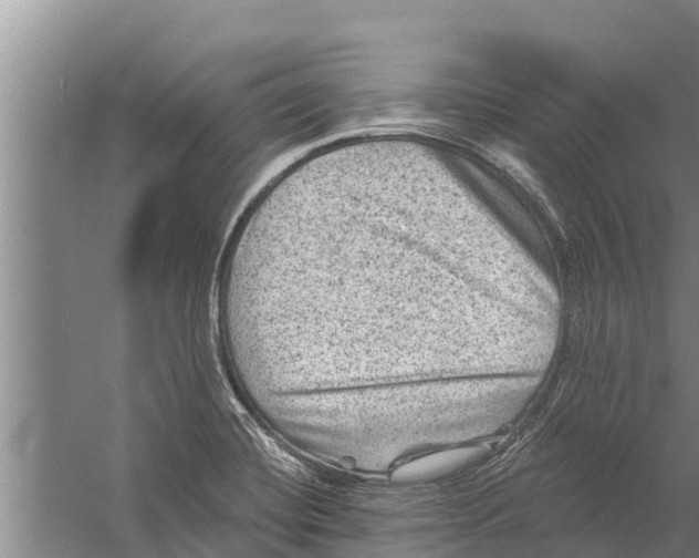 X0000058761420200510281906