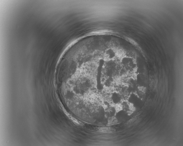 X0000058761421200510281906