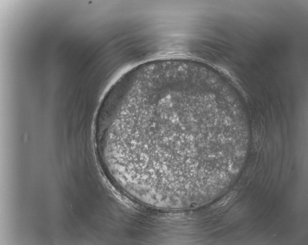 X0000058761422200510281906